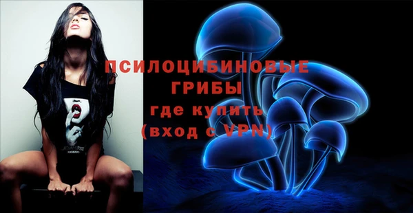 тгк Михайловск