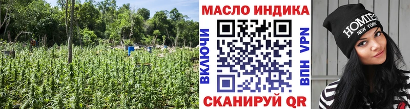 цены   Куса  ТГК гашишное масло 