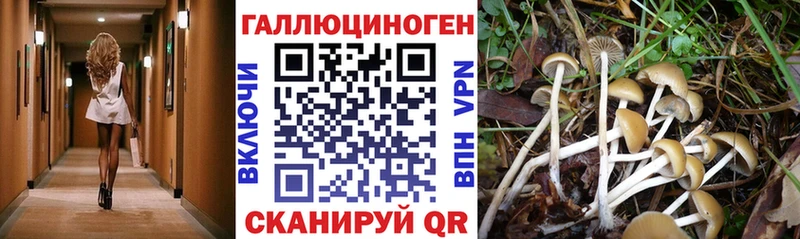Псилоцибиновые грибы прущие грибы  Куса 