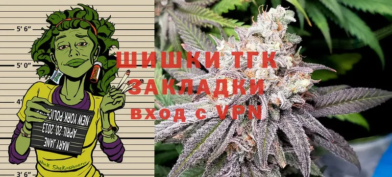 Бошки Шишки гибрид  Куса 